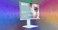From OLED to Budget LCDs, These Are Our Favorite Computer Monitors
