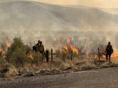 Multiple Wildfires Burn in Wyoming, See Latest Updates Here