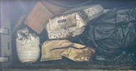 Pet Owners Given Fake Ashes Instead Of Cremations, Man Indicted