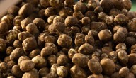 Los precios de los alimentos de la canasta familiar para la última semana de agosto