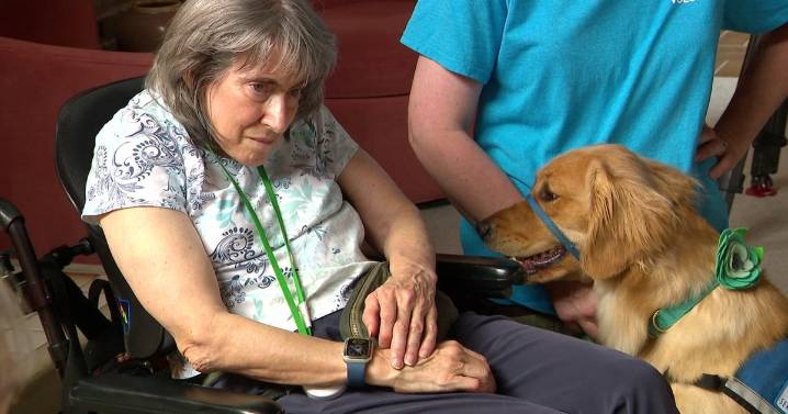 Eden Prairie nonprofit Helping Paws starting fund in honor of Hortman family