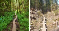 71 Comparisons Nobody Asked For But You Might Be Interested To See (New Pics)