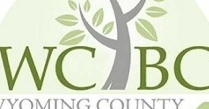 Business Accelerator Academy starts in September
