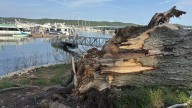 Boaters rescued as overnight storms damage Fourwinds Marina in Monroe County
