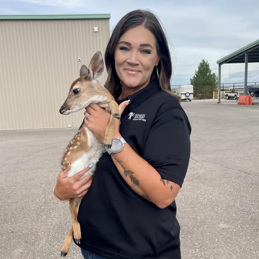 New Mexico Department of Game and Fish removes fawn from Roswell bathtub