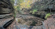 Eye On Illinois: Renewed efforts to invest in well-loved state park system – Shaw Local