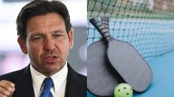 Lo que está en juego con el pickleball en Florida: una prohibición que nadie veía venir