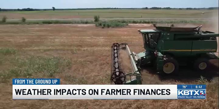 From the Ground Up: Weather and wheat