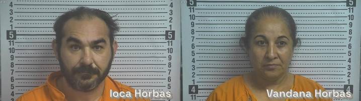 Two arrested in Danville Lowe’s theft scheme