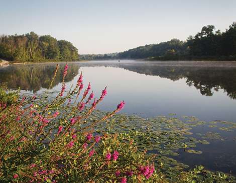 5 Unique Campsites to Visit in Northeast Ohio