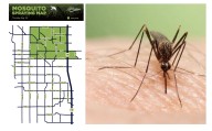 Fumigan en Fort Collins para frenar contagios del Virus del Nilo