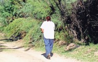 Conozca un bosque misterioso y perdido