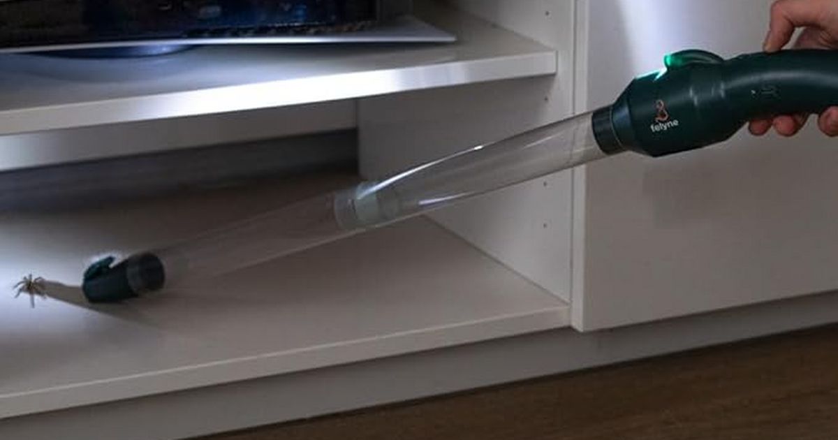 Banish spiders this autumn with 'genius and lightweight' insect hoover under £28