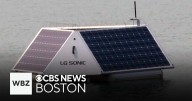 How technology is being used to save a popular pond on Martha's Vineyard from toxic algae