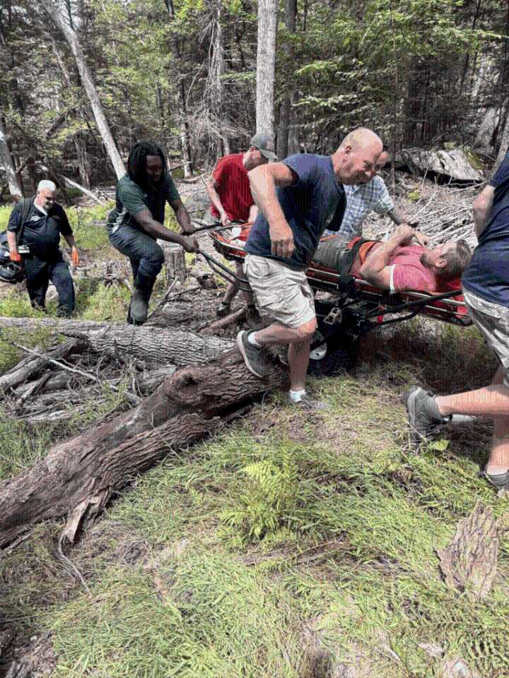 Logger struck by tree rescued from heavily wooded area