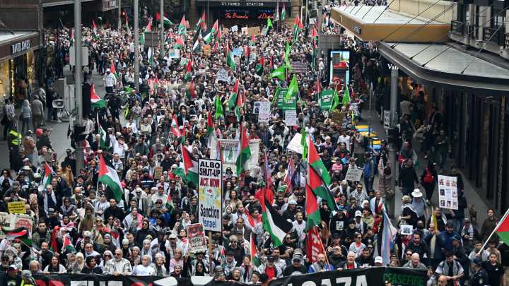 Pro-Palestine protesters rally in cities across Australia