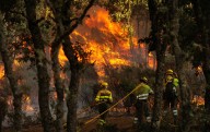 La Junta destinó solo 74 millones a la prevención de incendios y ahora gastará 100 en los daños