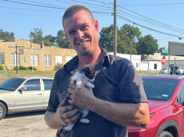 Kitten rescued from car engine thanks to Waco mechanics