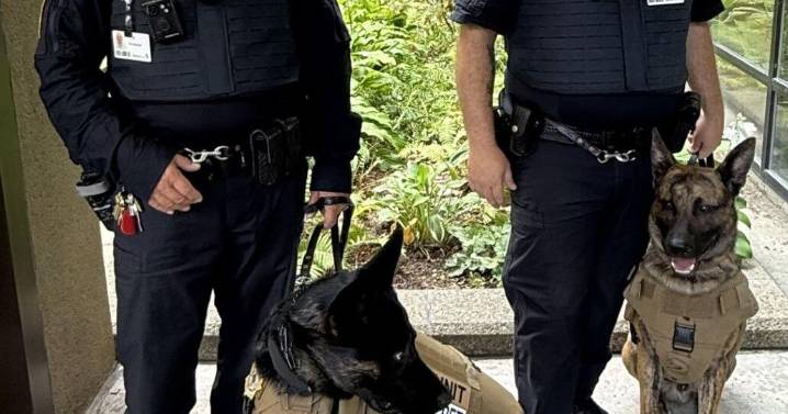 Ballad Health adds pilot K-9 security teams at Johnson City Med Center