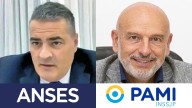 Los “aportes hormiga” de los funcionarios de PAMI y Anses al armado libertario