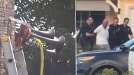 Man arrested after blasting horns, alarms in CA neighborhood