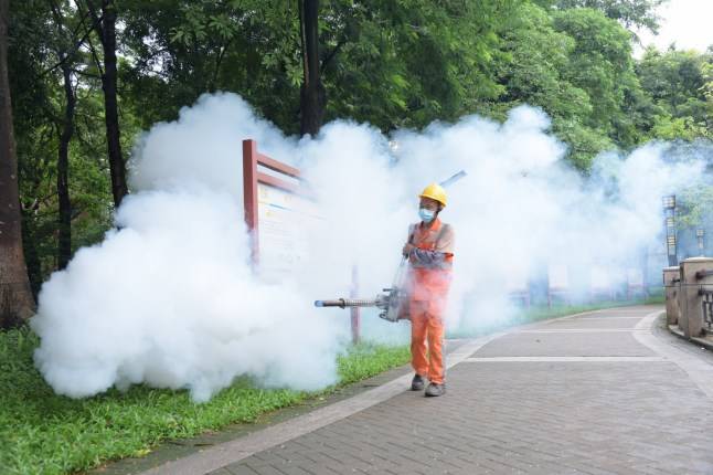 Chikungunya virus: How bad is the China outbreak and could it spread to the UK?