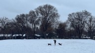 Farmers' Almanac predicts Nevada 2025-26 winter. How much snow in Reno?