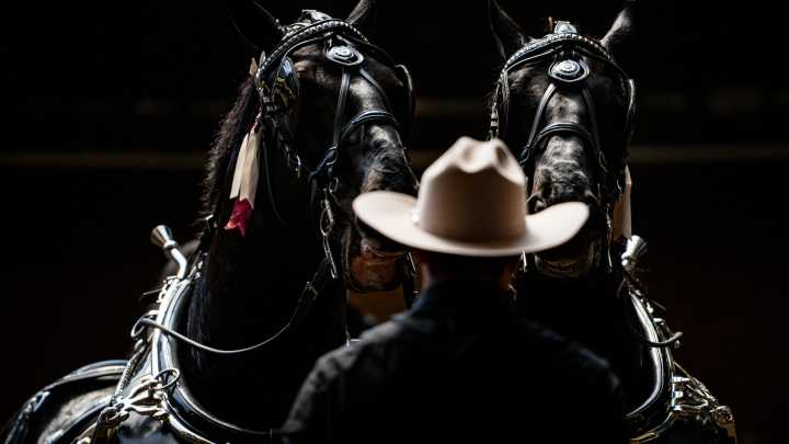 See photos from the last day of the Iowa State Fair 2025