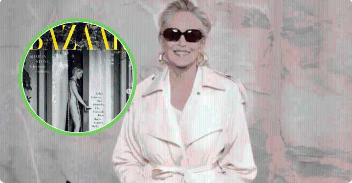 Sharon Stone Stuns In Daring High Slit Dress That Nearly Bares All