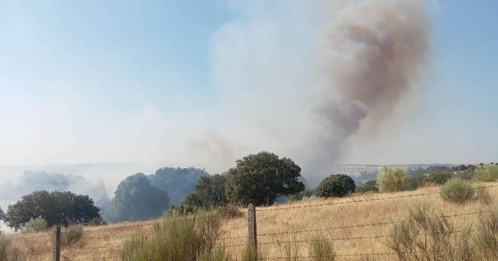 Incendio forestal declarado en Gallegos de Argañán