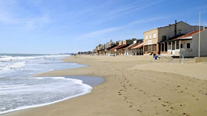 Beaches in Spanish tourist hotspot shut after rare, venomous sea slugs found