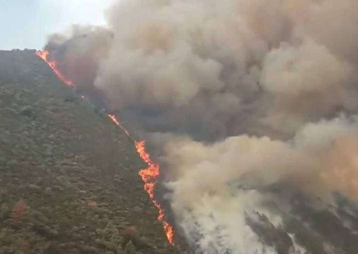 Las desoladoras imágenes que dejan los incendios en Asturias