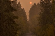 VashonBePrepared: Tsunamis and wildfires — prepare and survive the elements