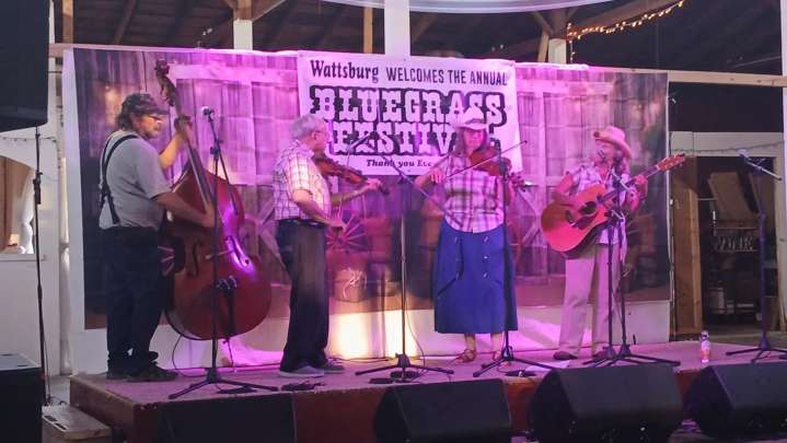 Steve Ludwig and the Casual Hobos at the Wattsburg Bluegrass Festival