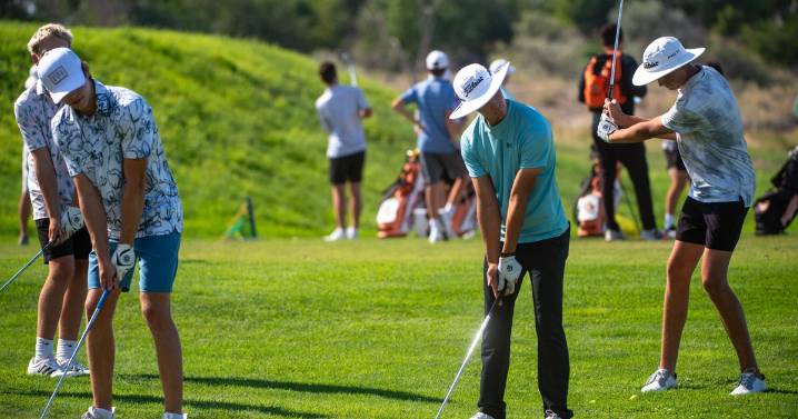 New CHSAA bylaws could mean fewer postseason bids for D51 golfers