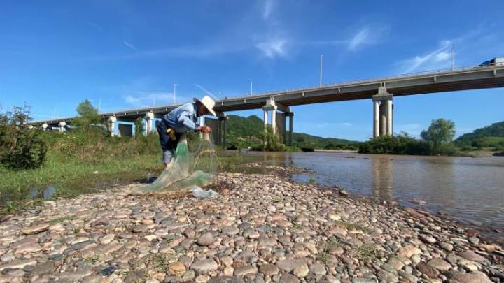 Hermilo busca con su atarraya capturar las bondades del río Baluarte en Rosario