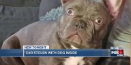 Car stolen with dog inside