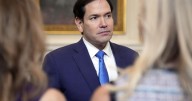Qué saber sobre las visas para camioneros extranjeros en EEUU tras un choque vial en Florida