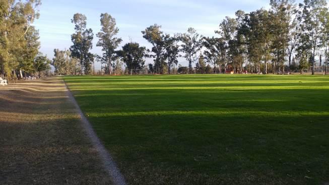 Diputados aprobaron la cesión de tierras a la Asociación de Profesionales “La Loma”