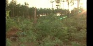 20 years since deadly Stoughton tornado
