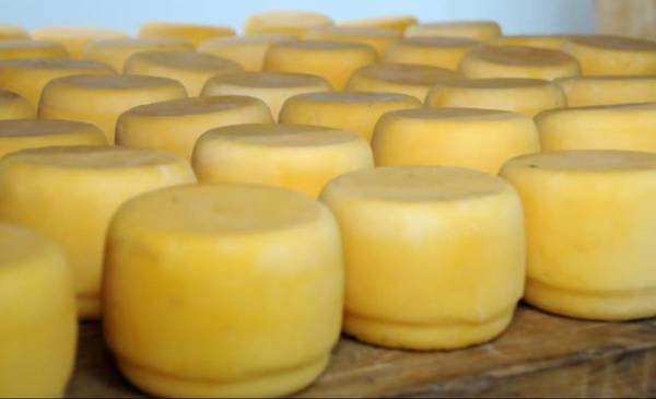 Queso contaminado: crecen los casos de personas afectadas por el brote de listeriosis