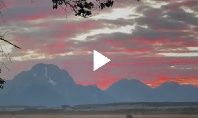 WYOWatch: Bison graze under vibrant sunset