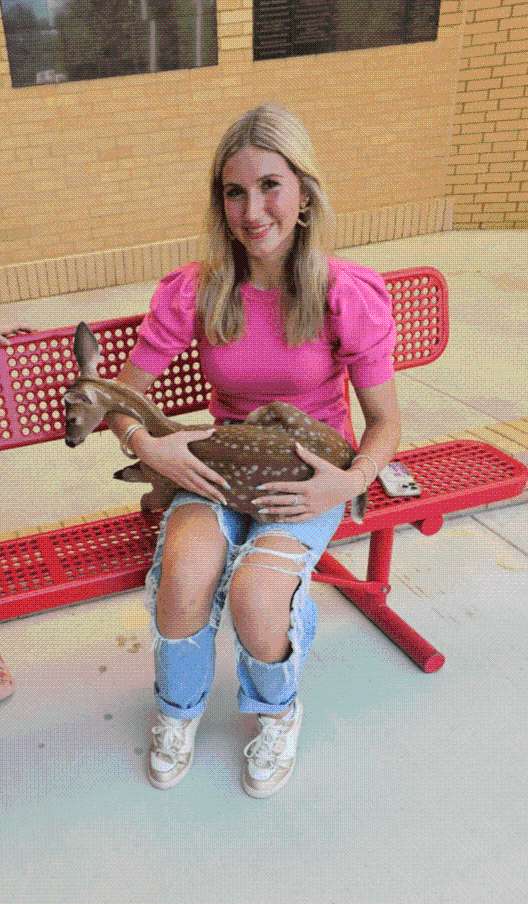 Quick action saves deer stranded at Carthage High School