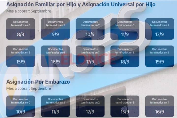 ANSES confirmó el calendario de pagos de septiembre para jubilaciones, pensiones y asignaciones