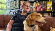 Daviess County nonprofit supports vital pet