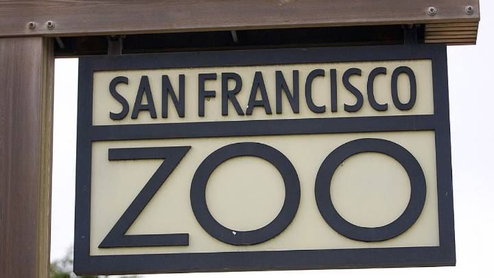 Report finds San Francisco Zoo ‘extremely outdated’, unsafe
