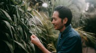 Is Your Plant Suffering From Smoke Exposure? Here's What To Do About It