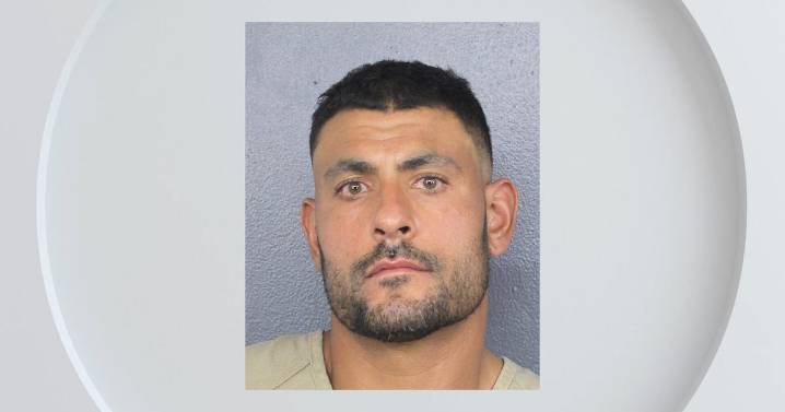 Miami Dolphins outside linebackers coach Ryan Crow charged with domestic battery