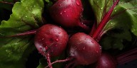La raíz de este vegetal es clave para regular la presión arterial alta