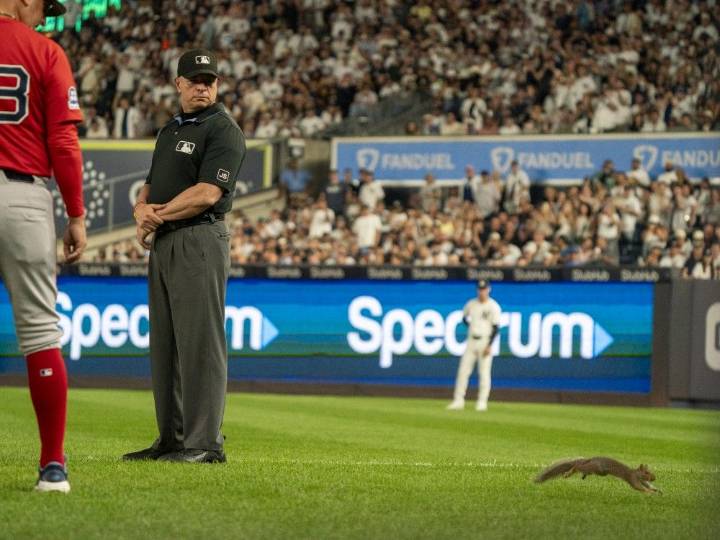 Squirrel runs onto Yankee Stadium field, causes brief delay